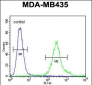 FBXL2 Antibody (C-term)